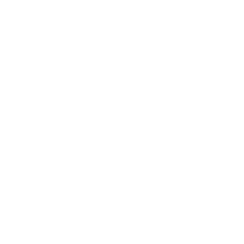Susi Logo Weiss